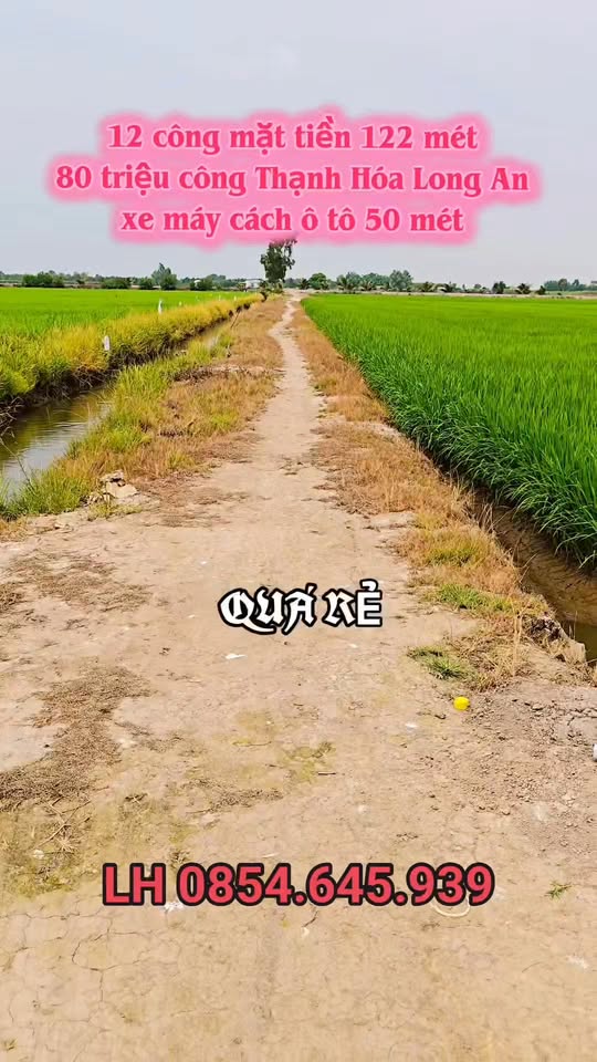 Đất nền Xã Bình Thành, Thạnh Hóa 12.000m² giá 960 triệu - Giá đầu tư tốt!