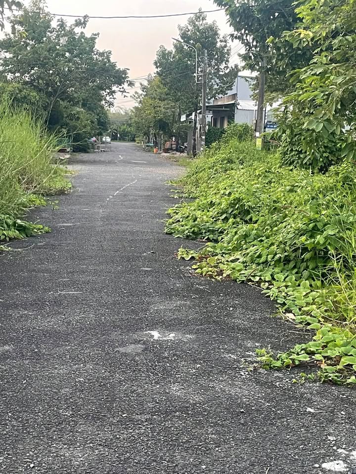 Bán đất Cà Mau 135m² mặt tiền Lê Văn Một - Vượng khí bên sông