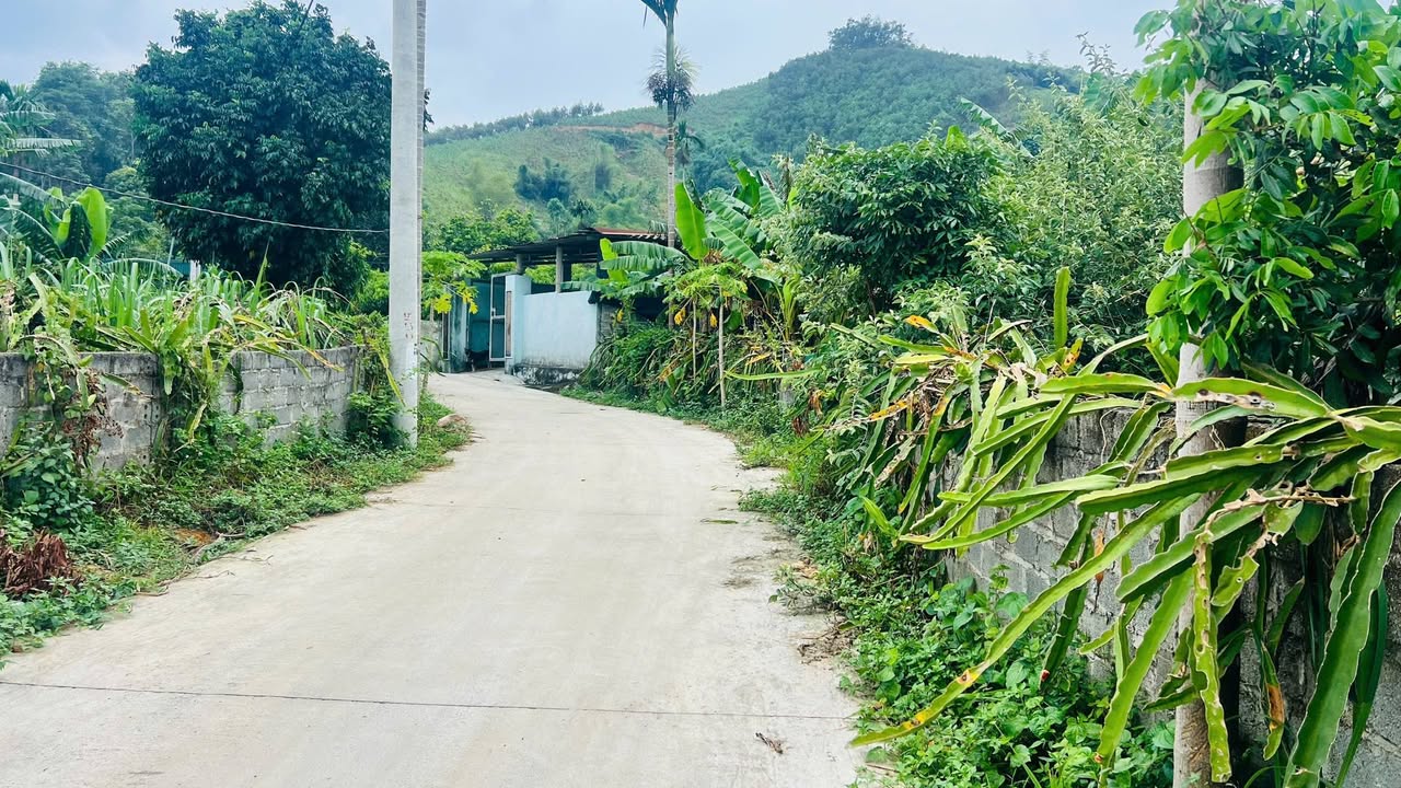 Đất Vườn Hòa Bình 423m² Sổ Đỏ Full Thổ Cư - Giá Đầu Tư 1.7 Tỷ