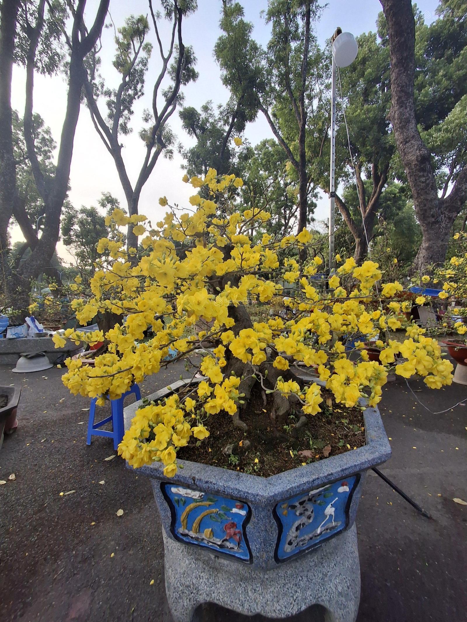 Cho thuê nhà Nguyễn Văn Công Gò Vấp 68m² - Ô tô vào tận nhà