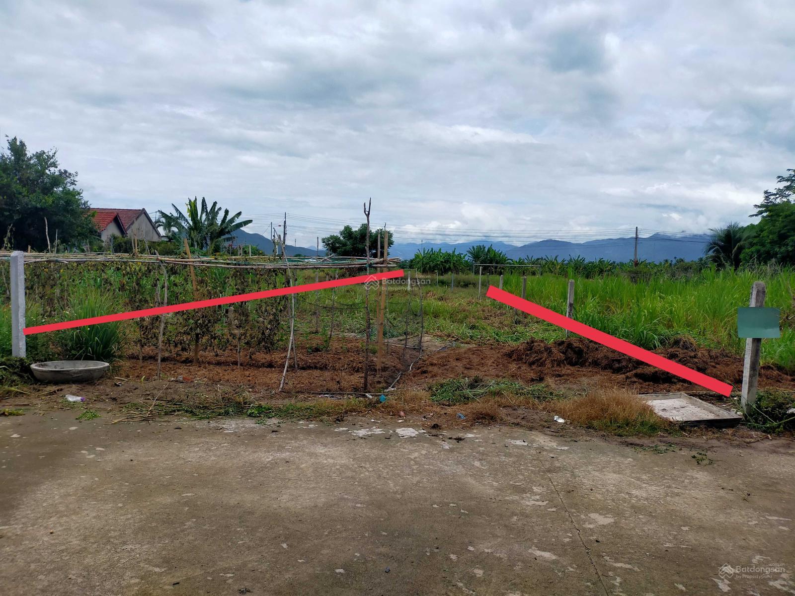 Cho thuê đất mặt tiền Diên Sơn 200m² giá 1 triệu - Hoạt động ngay!