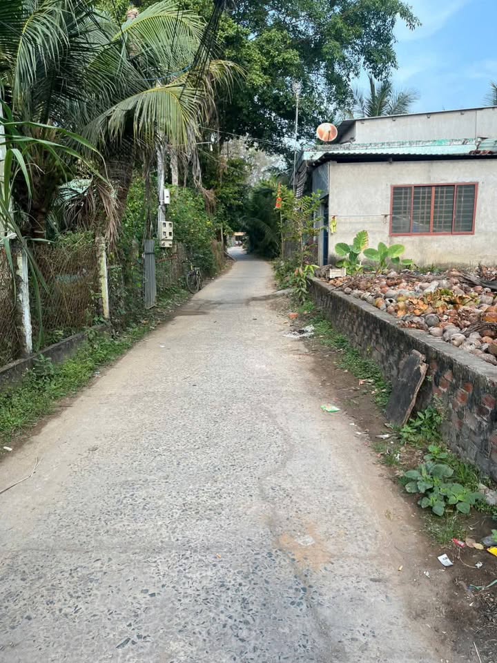 Bán Gấp Đất Nền Xã An Hóa, Bến Tre - 95.5m² - Chỉ 400 Triệu