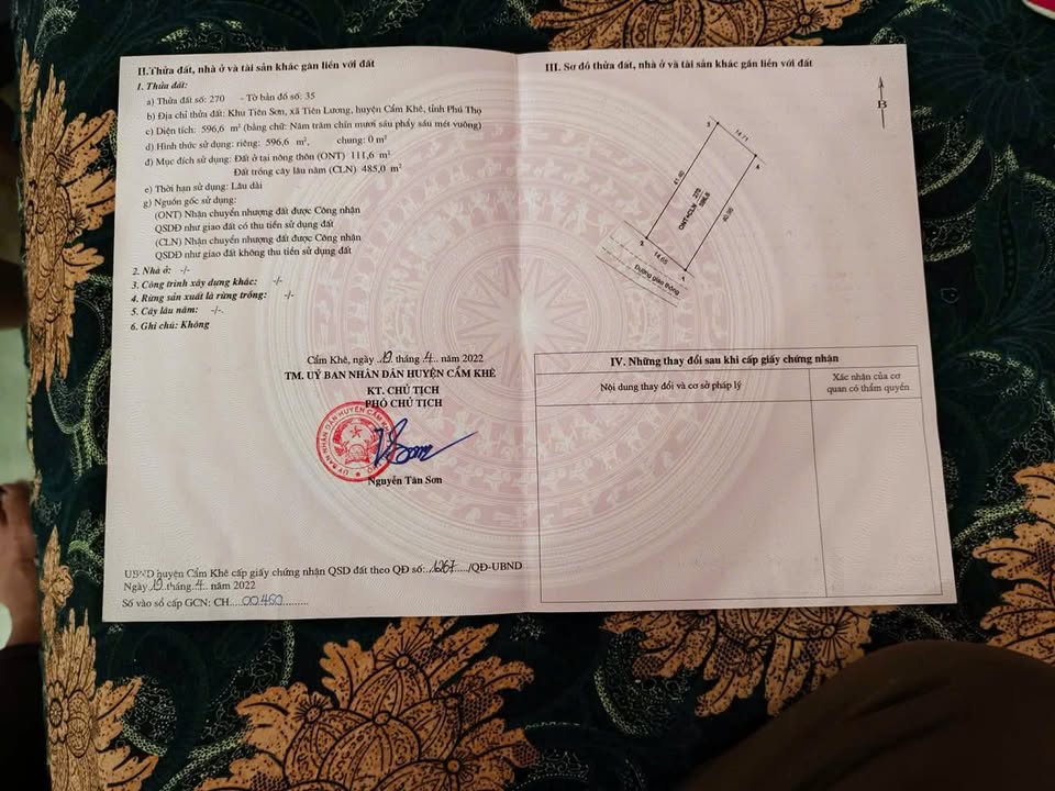 Đất nền Tây Lương Tiền Hải 600m² - Đường nhựa lớn - Tiềm năng tăng giá!