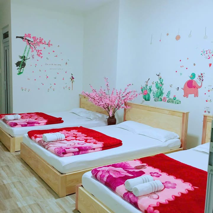 Bán nhà Nam Kỳ Khởi Nghĩa Đà Lạt 51m² 6.7 tỷ - Vị trí đẹp ở ngay!