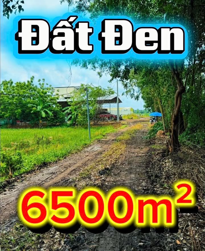 Bán Đất Vườn Châu Thành Tây Ninh 6450m² Giá 790 Triệu - Nghỉ Dưỡng Lý Tưởng!