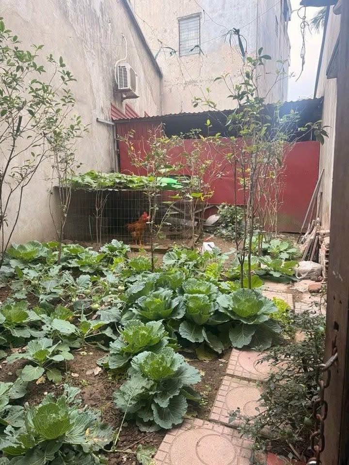 Đất nền Việt Hưng Long Biên 45m² giá 5 tỷ - Sổ đỏ chính chủ