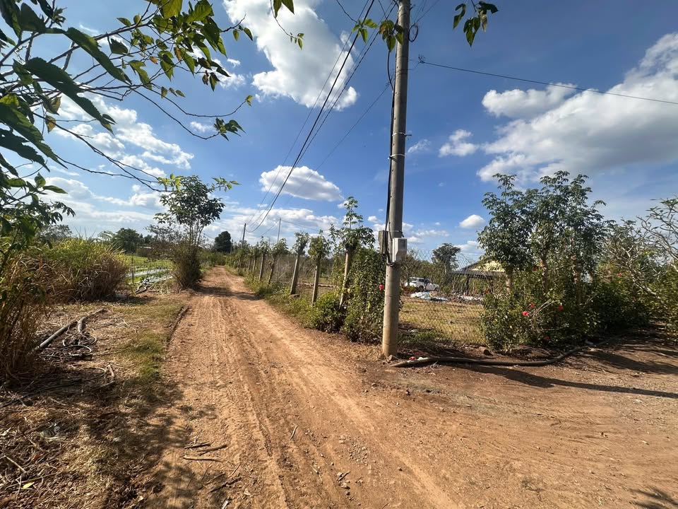 Bán Đất 1200m² Quận 12 - Đường Xe Hơi, Sổ Đỏ, Giá 7xx Triệu