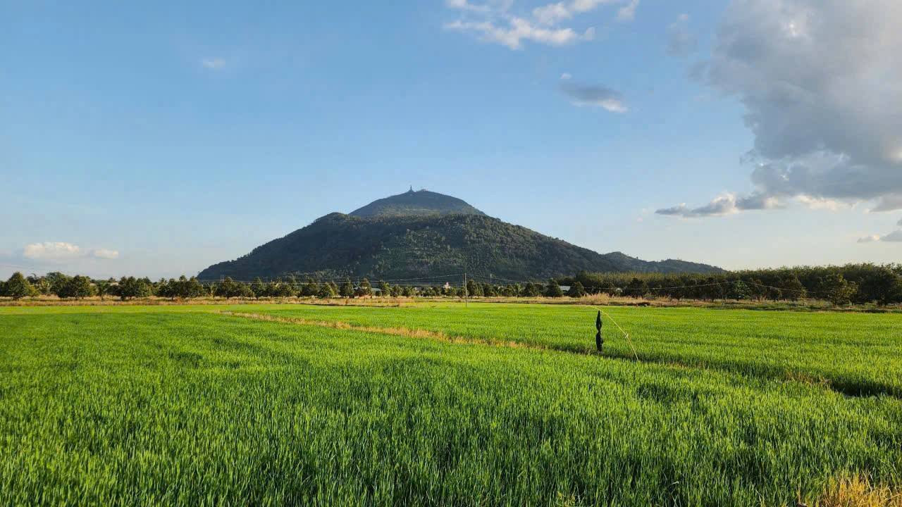 Bán Đất Thổ Cư Sổ Hồng Sẵn 155m² Phường Ninh Sơn, Tây Ninh - Giá Tốt