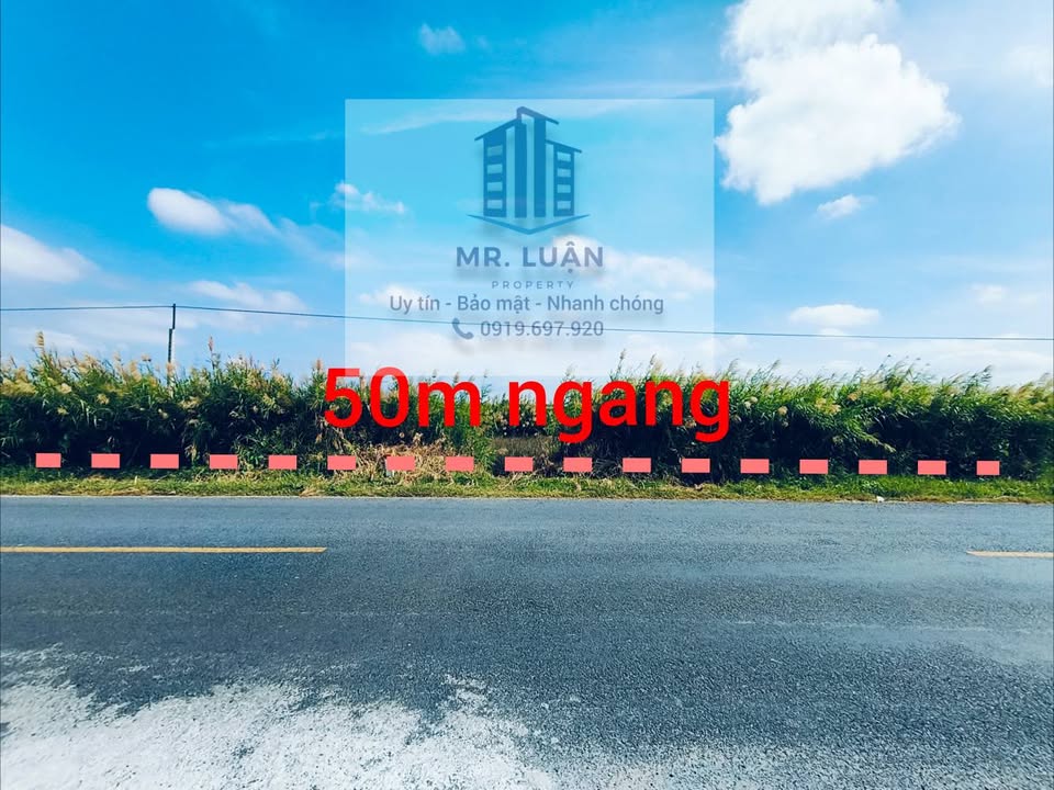 Đất Mặt Tiền Xuyên Á, Cà Mau - 50m Ngang, Giá 4.7 Tỷ, Sẵn Sổ Hồng