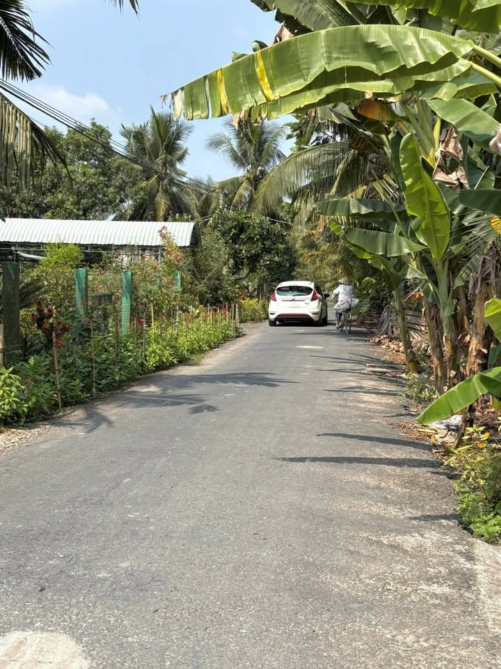 Đất Nền 150m² Thạnh Phú, Châu Thành - Sổ Đỏ Chính Chủ, Giá 700 Triệu