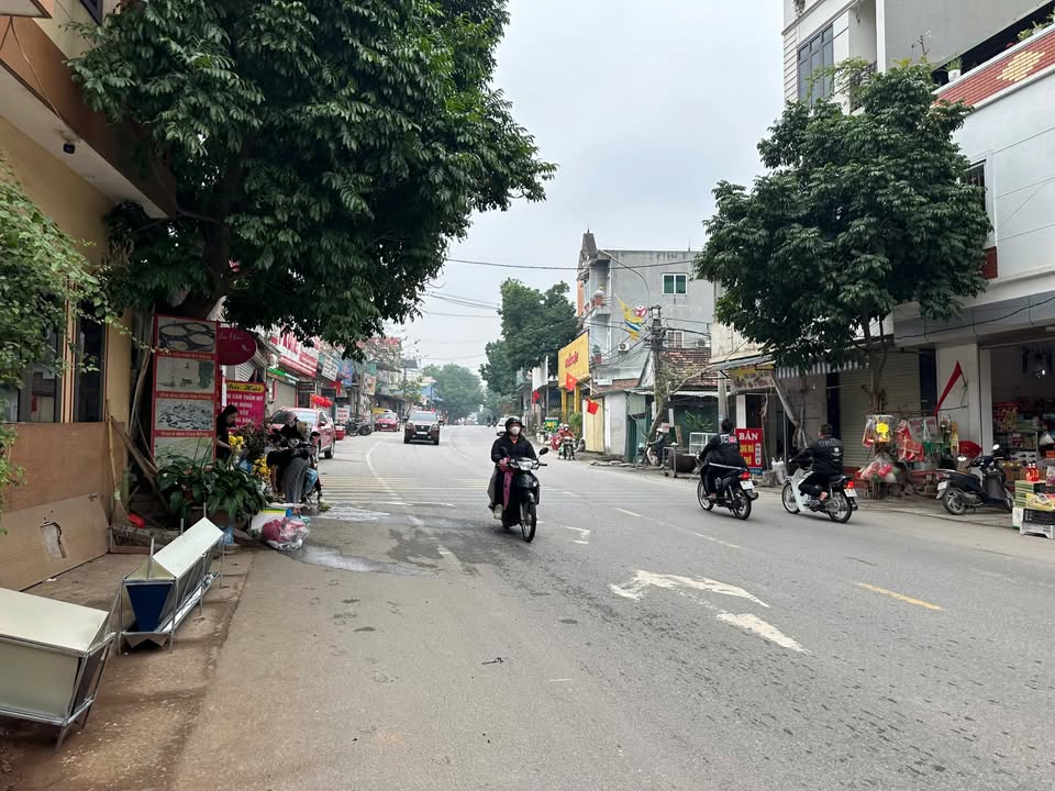 Bán đất QL2C Đạo Tú Tam Dương 100m² - Vị trí đắc địa kinh doanh ngay!