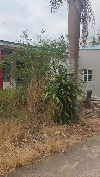 Đất nền Minh Tân Dầu Tiếng 200m² - Sổ đỏ chính chủ, giá đầu tư F0!