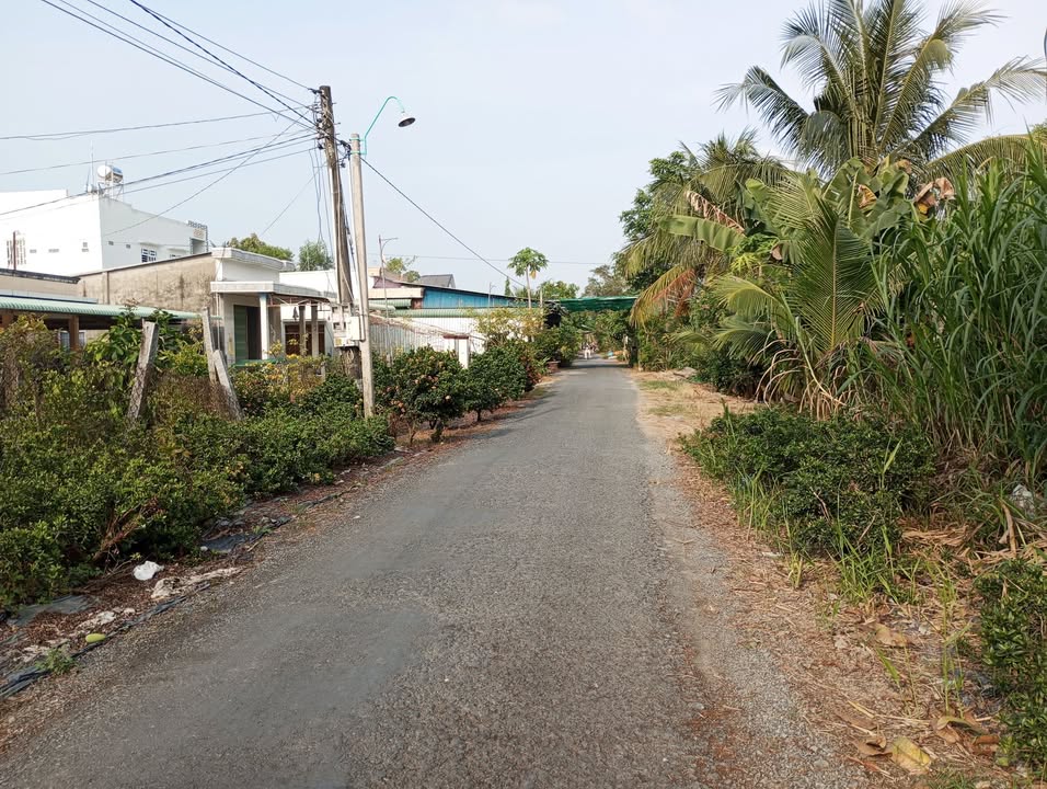 Bán đất nền Hòa Long Lai Vung 516m² thổ cư - Sổ hồng sẵn