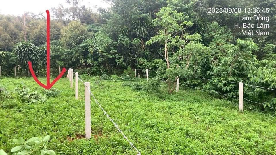 Đất Nền Mặt Tiền Sông Đại Nga Lộc Thành - 228m² - 860 Triệu