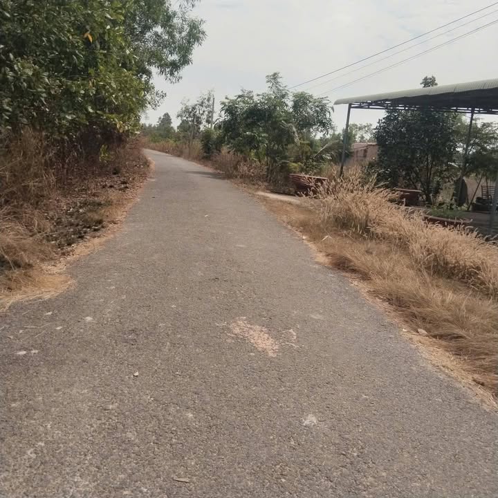 Đất Nền Tân Biên 8000m² - 2 Mặt Tiền, Sổ Đỏ Chính Chủ!