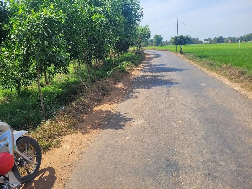 Đất nền Châu Thành, Tây Ninh 6880m² - Tiềm năng tăng giá vượt trội!