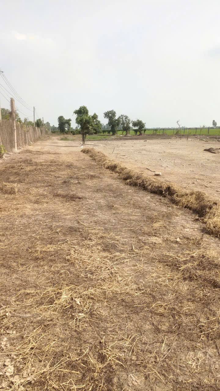 Đất nền An Châu, Châu Thành, An Giang 120m² - Đất thổ cư 100%