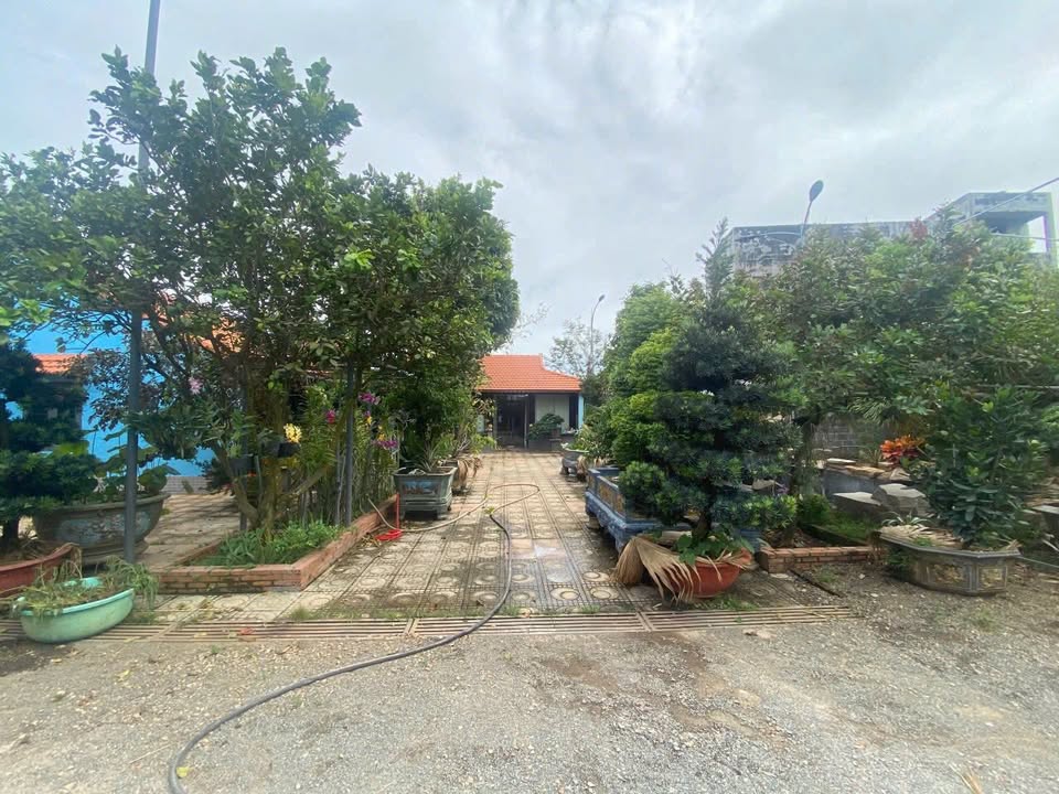 Nhà Vườn Nghỉ Dưỡng 1975m² Mặt Tiền Đường 52 Bà Rịa - Giá 20 Tỷ