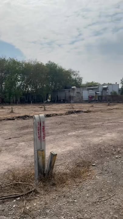 Đất Nền Sổ Hồng Riêng 250m² Tại Bến Cầu, Tây Ninh - Giá Chỉ 215 Triệu