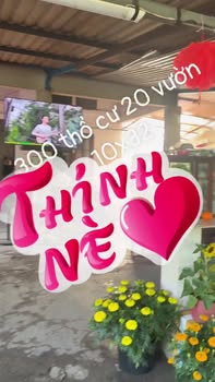 Đất Phước Lợi Bến Lức 300m² giá 2.5 tỷ - Sổ hồng chính chủ