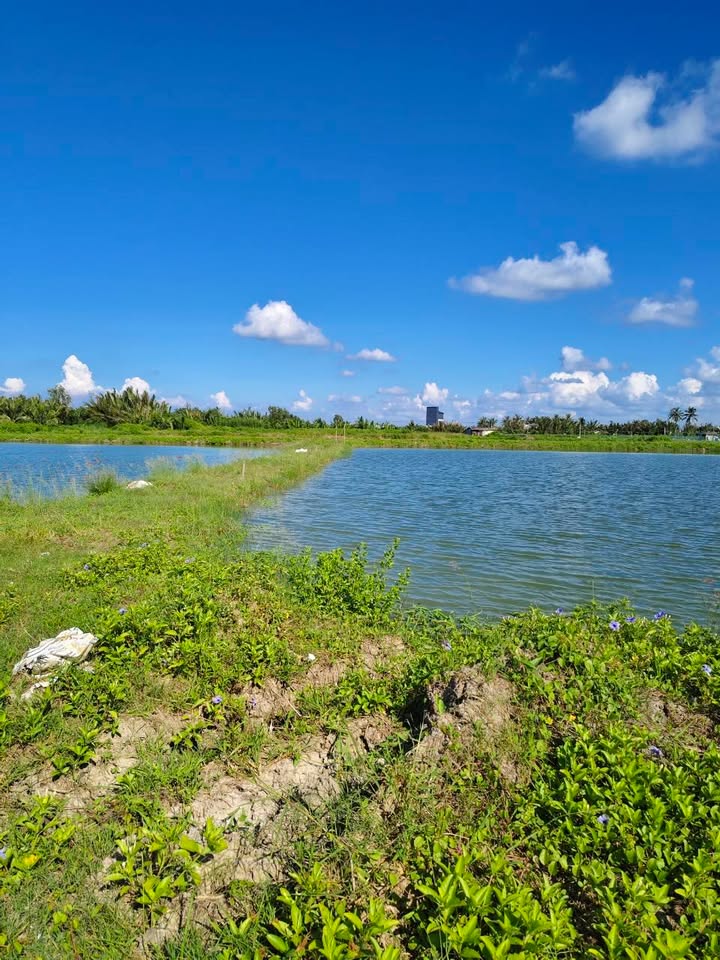 Đất Sóc Trăng 17.000m² 2 Mặt Tiền - Giá Đầu Tư 1.19 Tỷ