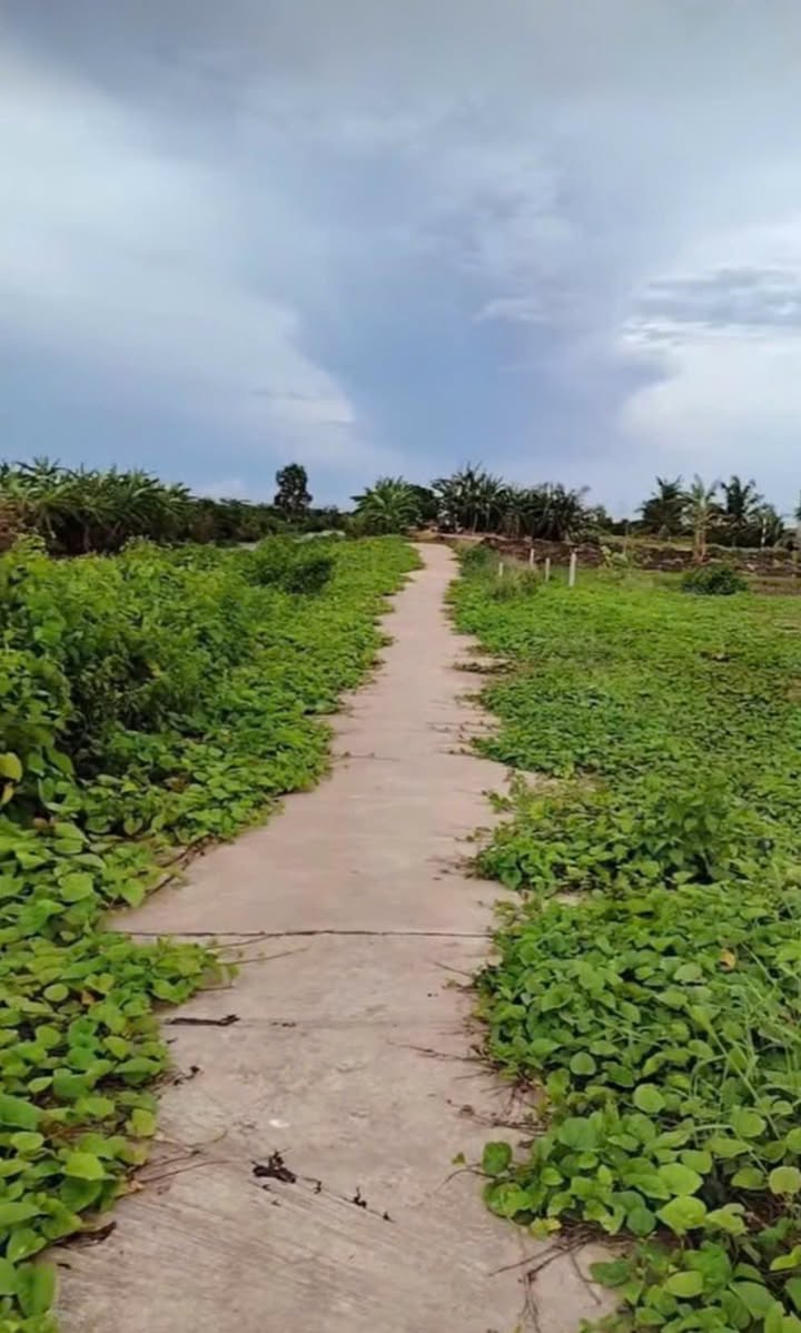 Đất nền Mỹ Xuyên Sóc Trăng 990m² giá 300 triệu - Sổ đỏ chính chủ