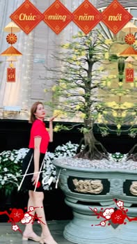 Đất nền Long Thành 200m² Xã Bình Sơn - Sổ đỏ chính chủ, pháp lý minh bạch!