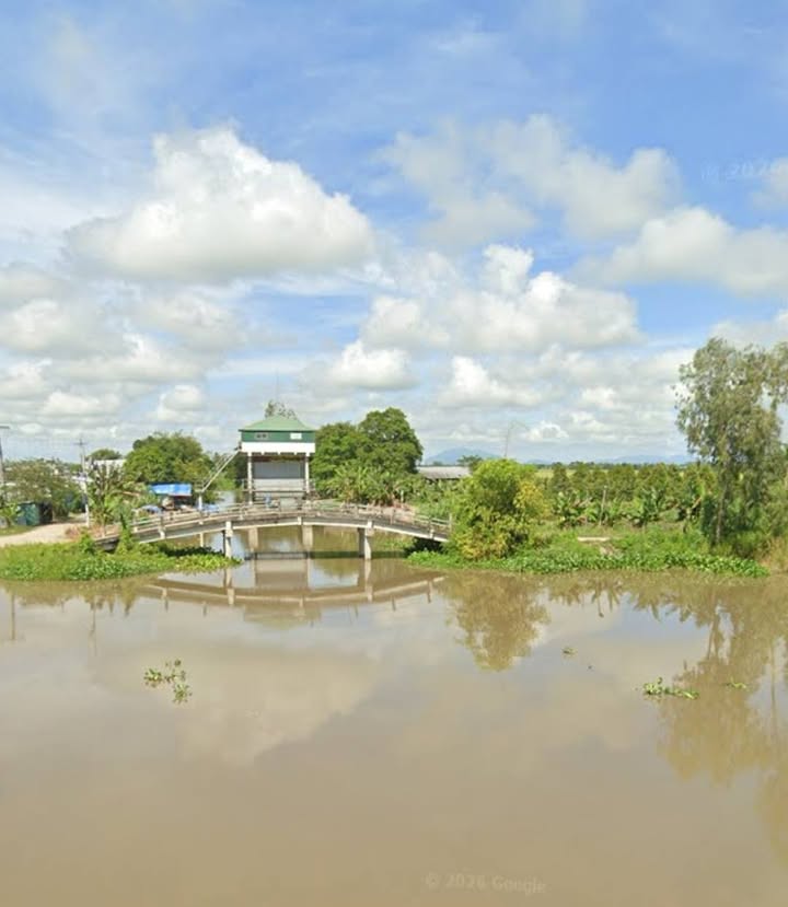 Đất Ruộng Mỹ Phú Đông 10946m² - Sổ hồng chính chủ!