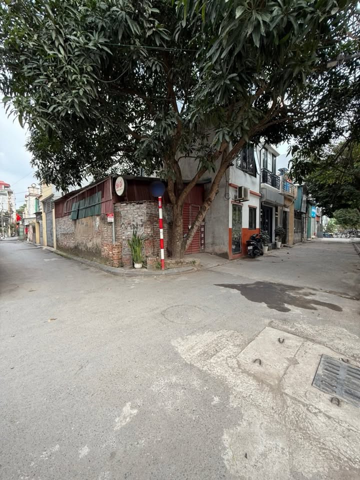 Nhà Riêng Phố Hoa Lâm Long Biên 40m² - Lô góc, ô tô vào tận nhà!