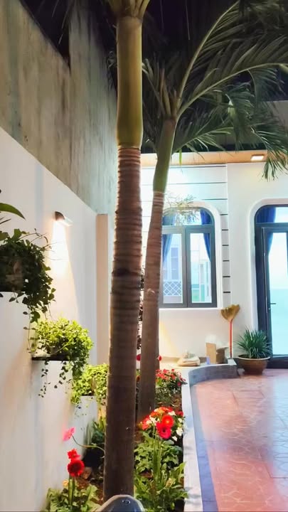 Nhà cấp 4 Mỹ Hạnh Đức Hòa 296m² - Ô tô vào tận nơi!