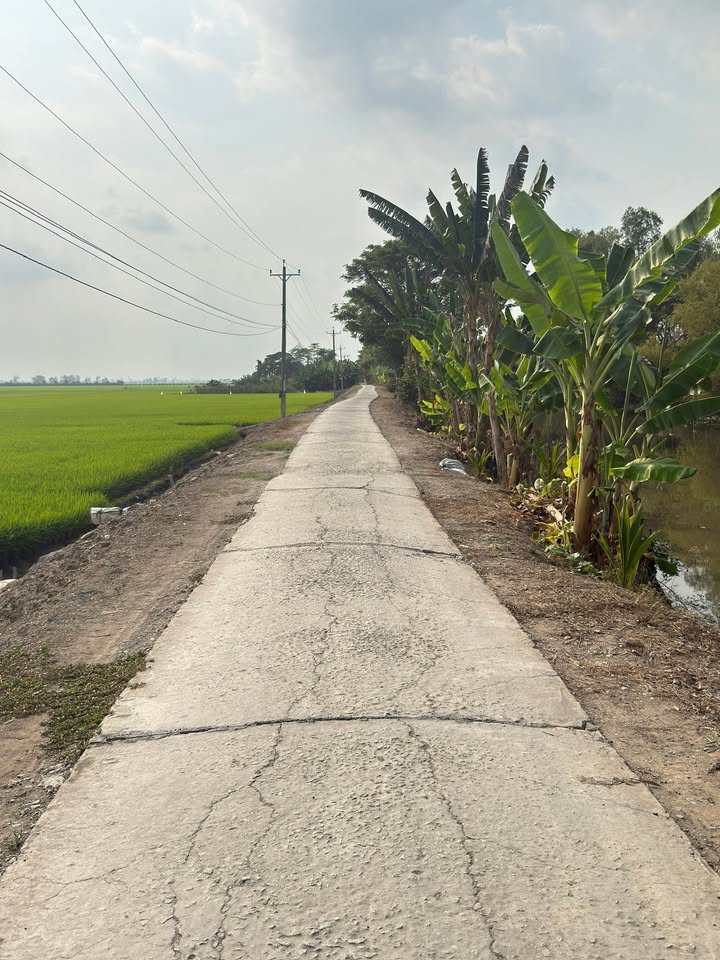 Bán Đất Vườn 14.000m² Xã Vĩnh Phú, Kiên Giang - Hai Mặt Tiền Kênh, Sổ Hồng