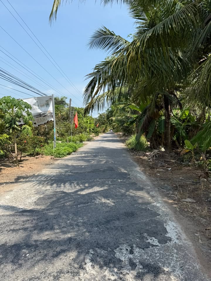 Bán đất mặt tiền Thạnh Đông B, Tân Hiệp - 828m² kinh doanh cực tốt