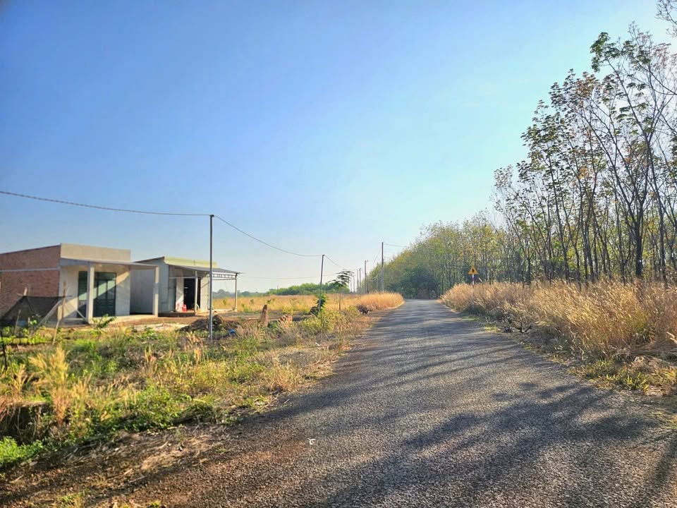 Đất nền Lộc Quang Lộc Ninh 420m² giá 100 triệu - Sổ đỏ chính chủ