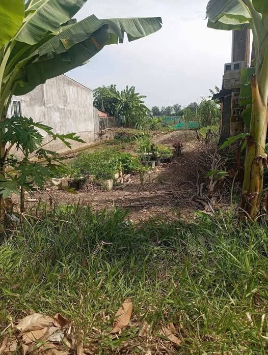 Đất nền Mỹ Trà Cao Lãnh 170m² giá 900 triệu - Sổ hồng sẵn!