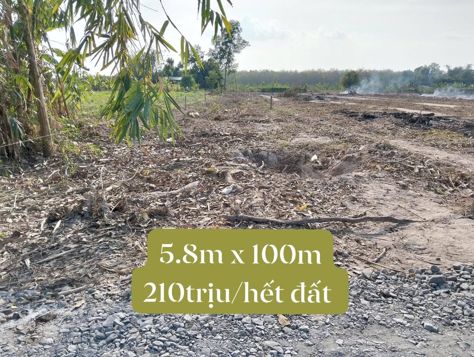 Đất vườn Bến Cầu Tây Ninh 580m² giá 195 triệu - Nghỉ dưỡng lý tưởng!