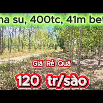Đất Vườn 1.5ha Bù Gia Mập Bình Phước - Sổ Đỏ Rõ Ràng, Giá Tốt 5 Tỷ
