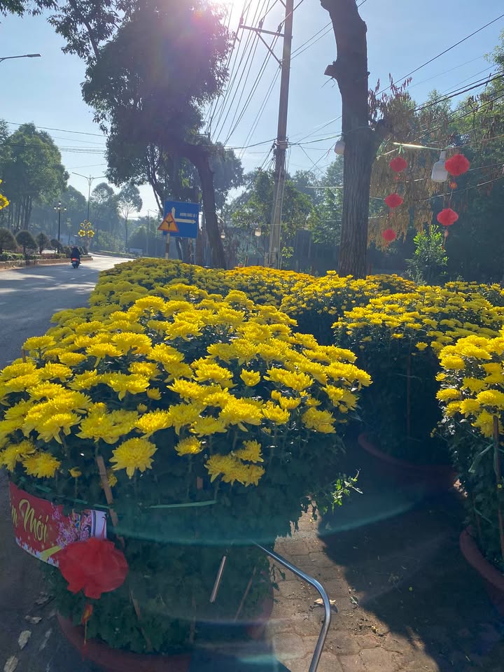 Đất Mặt Tiền Xuân Lộc, Đồng Nai 1104m² - Mặt Tiền Kinh Doanh Vô Đối!