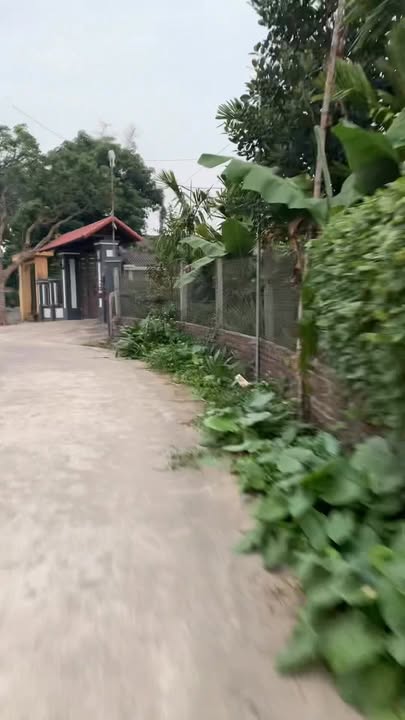 Đất Nền Phú Thọ 121m² - Sổ Đỏ Rõ Ràng, Sẵn Sàng Đầu Tư