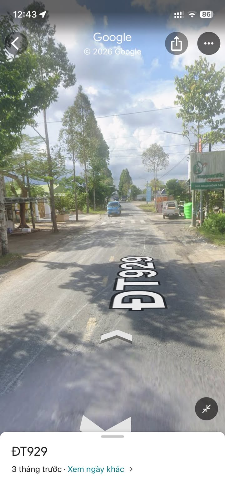 Đất Lúa Châu Thành A 9000m² - Giá tốt đầu tư