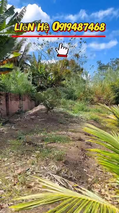 Đất Vườn Nghỉ Dưỡng Tân Tiến 3600m² - Sổ Đỏ Thổ Cư, View Đẹp