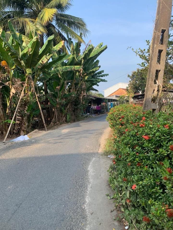 Đất nền Mỹ Thới Long Xuyên 51m² giá 290 triệu - Sổ đỏ chính chủ