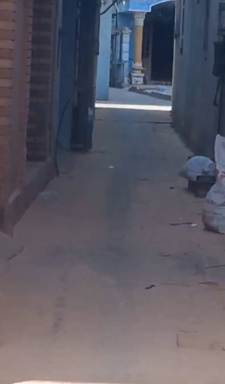 Đất nền Mai Động Từ Sơn 80m² giá 1.7 tỷ - Sổ đỏ chính chủ sẵn sàng