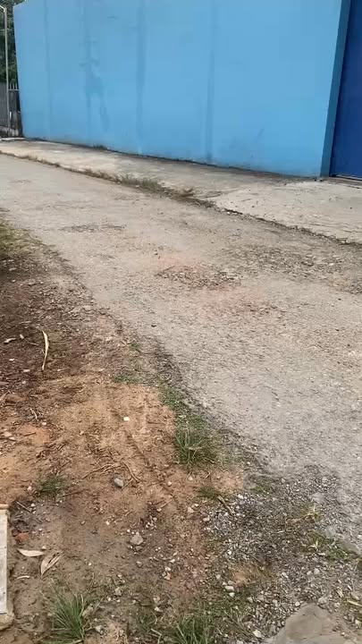 Nhà Tôn Cho Thuê Trảng Bàng 32m² 2.5 Triệu - Giá Tốt Hiếm Có!