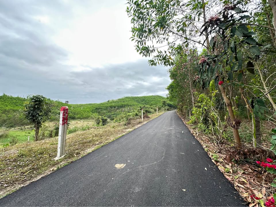 Đất Vườn 546m² Thị Xã Ninh Hòa - Giá Đầu Tư 190 Triệu, View Đồi