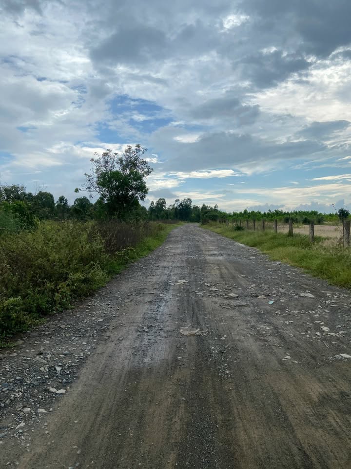 Đất Vườn 10.000m² Hàm Thuận Nam - Đầu Tư Sinh Lời