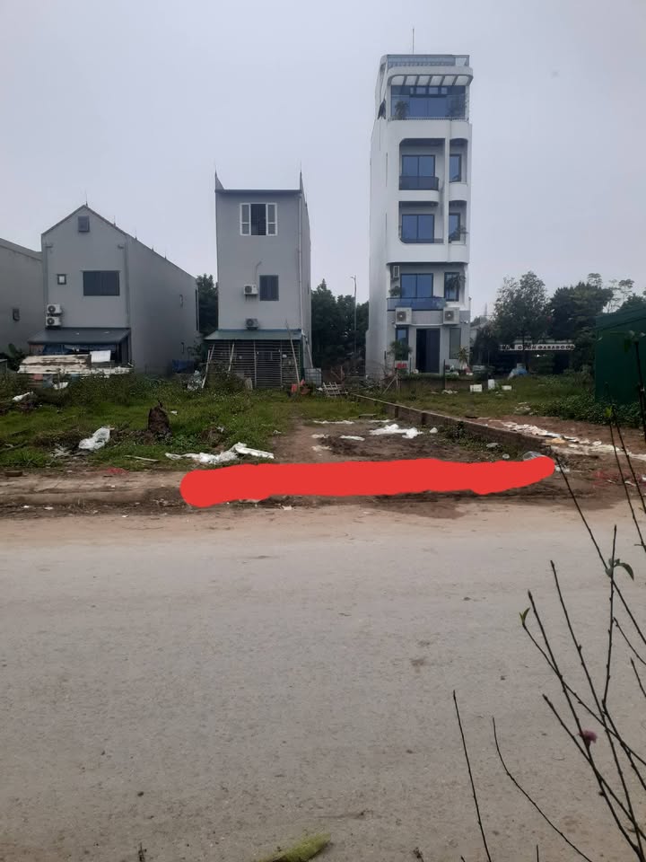 Đất nền Tứ Xã Lâm Thao 125m² - Tiềm năng tăng giá vượt trội!