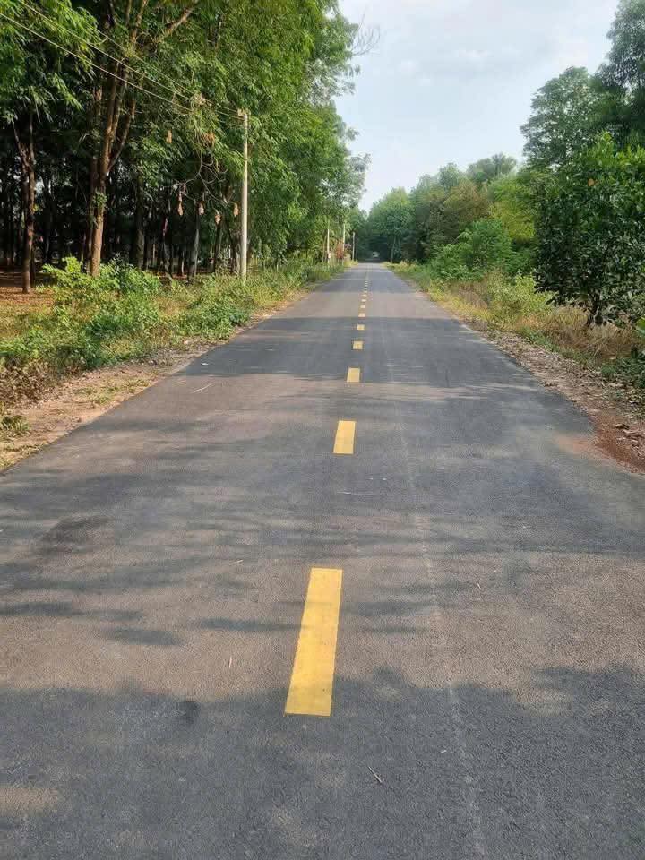 Đất mặt tiền Tân Hiệp Phú Giáo 2.1ha giá 16.9 tỷ - Hạ tầng hoàn thiện