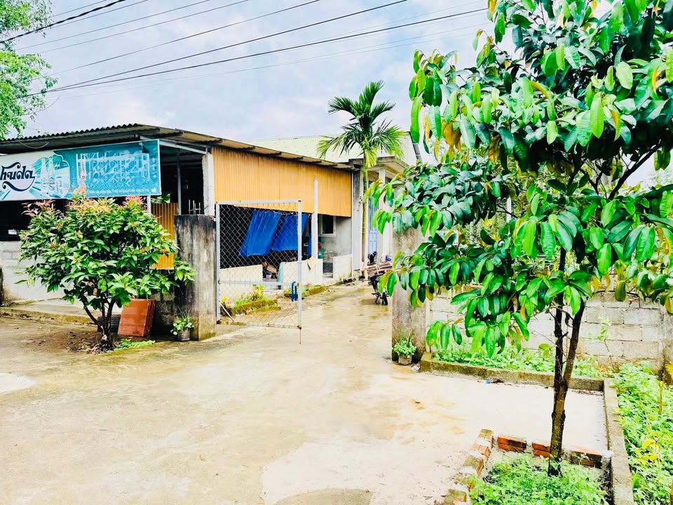 Đất nền Phong Điền 563.7m² giá 850 triệu - Sổ đỏ chính chủ