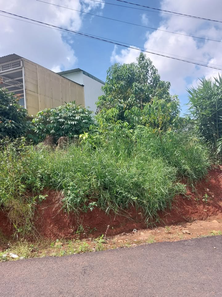 Đất nền Bảo Lộc 510m² 1.1 tỷ - Sổ đỏ chính chủ, nở hậu đẹp!