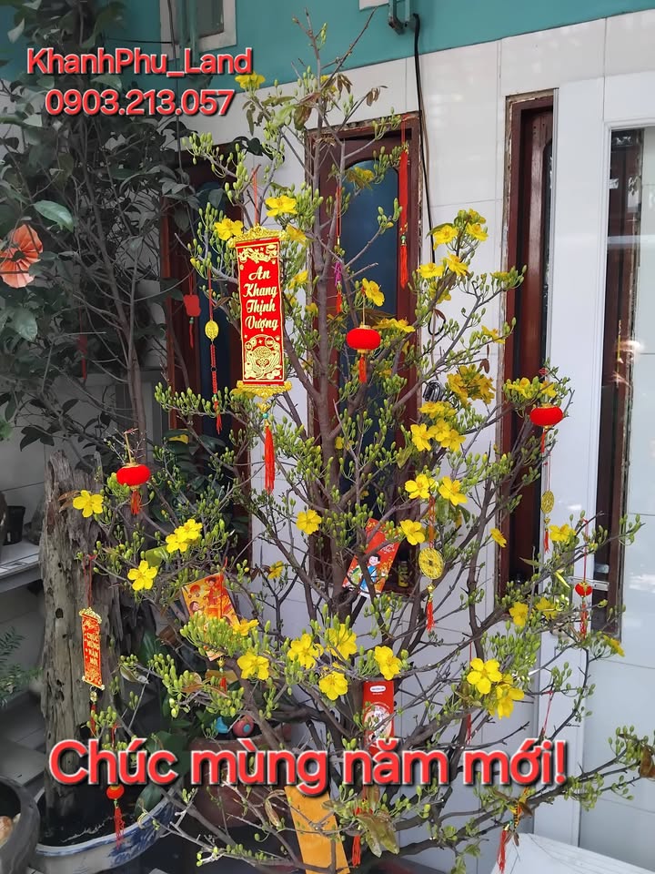 Bán nhà Nguyễn Hồng Đào Tân Bình 55m² 6.3 tỷ - Ô tô vào tận nhà